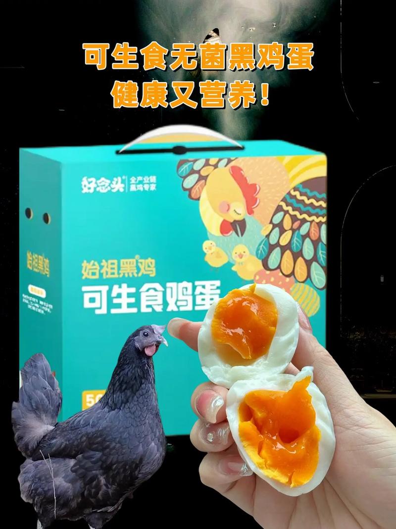 产品中心 第8页